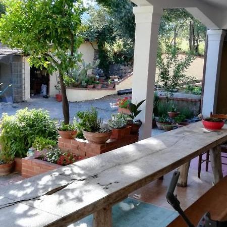 La Gallina Nel Castello Citr Oo9002-Beb Oo11 Αλμπένγκα Εξωτερικό φωτογραφία