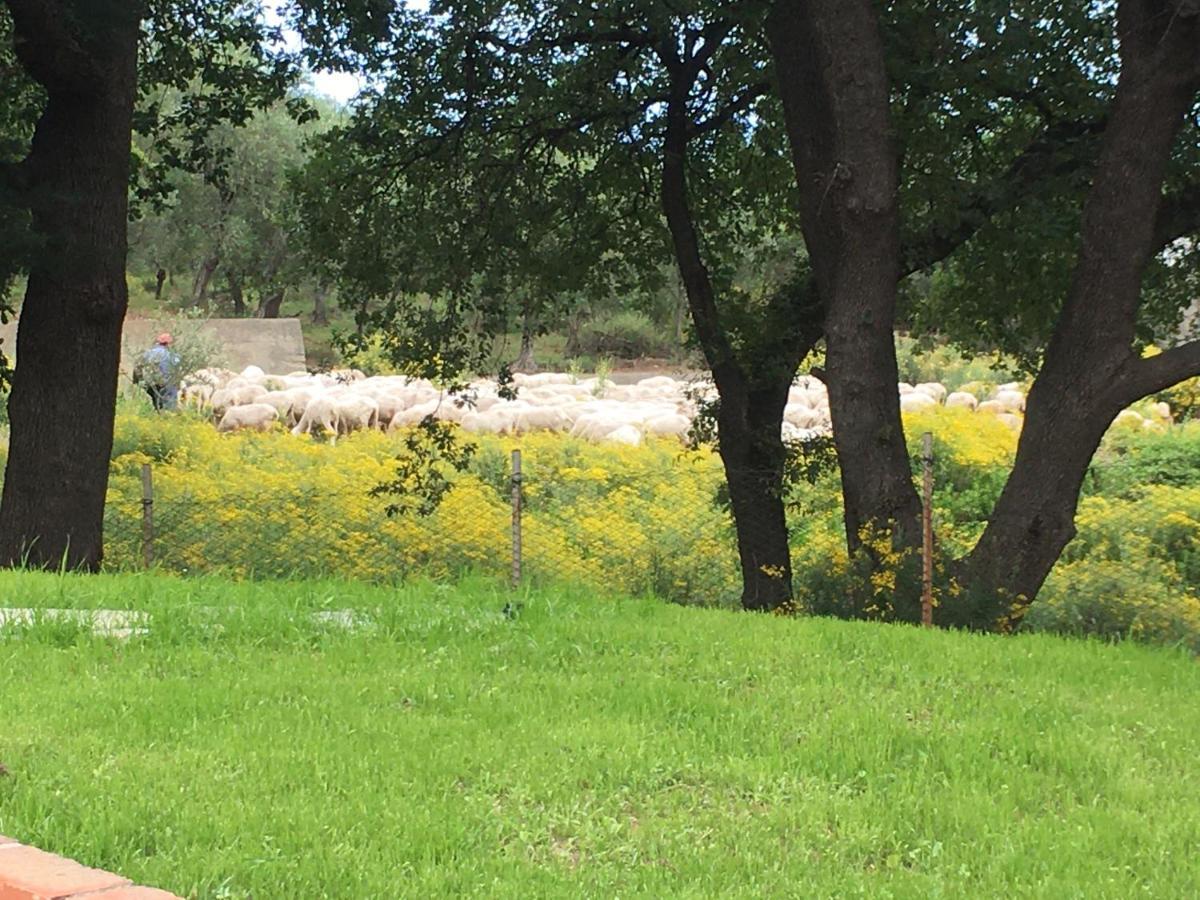 La Gallina Nel Castello Citr Oo9002-Beb Oo11 Αλμπένγκα Εξωτερικό φωτογραφία
