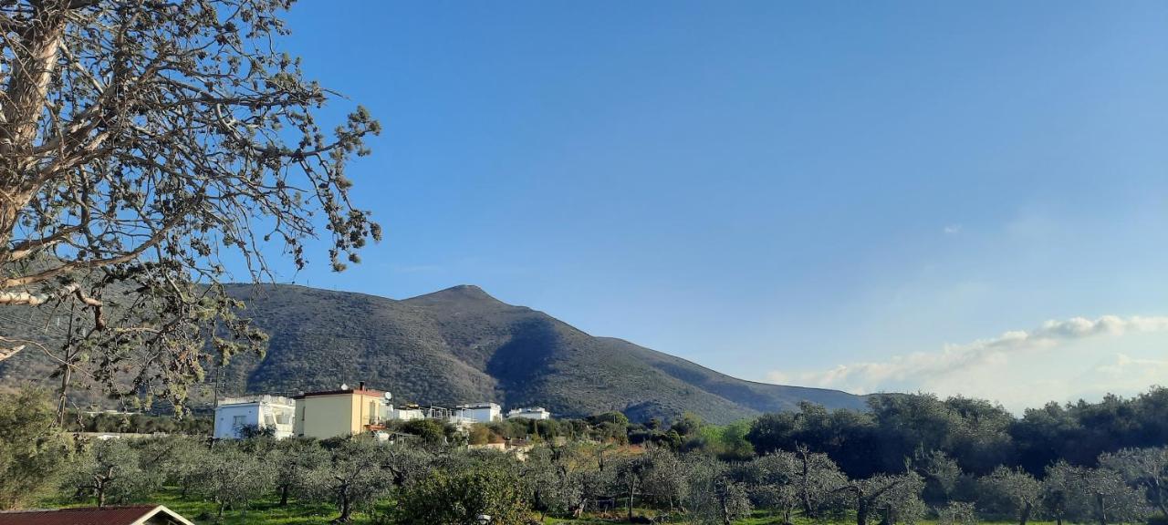La Gallina Nel Castello Citr Oo9002-Beb Oo11 Αλμπένγκα Εξωτερικό φωτογραφία