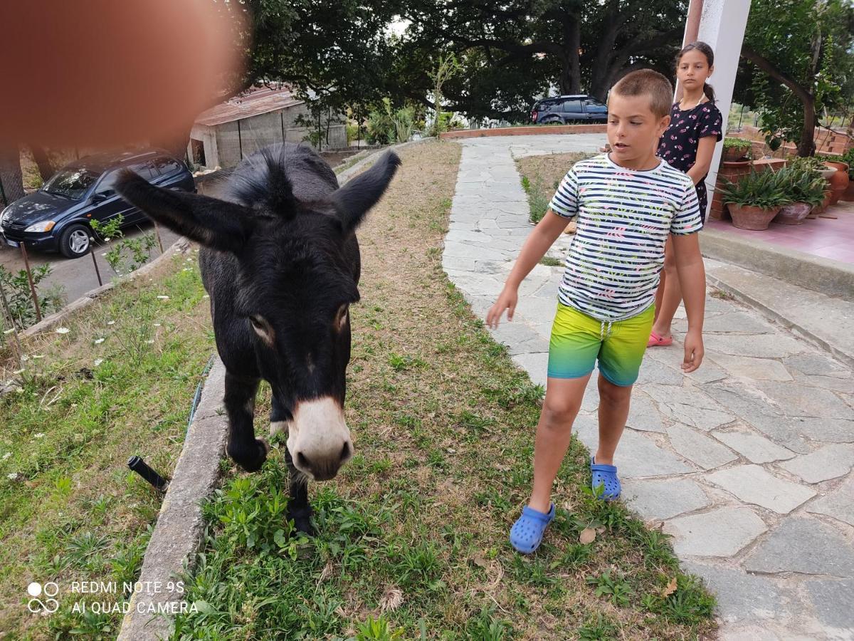 La Gallina Nel Castello Citr Oo9002-Beb Oo11 Αλμπένγκα Εξωτερικό φωτογραφία