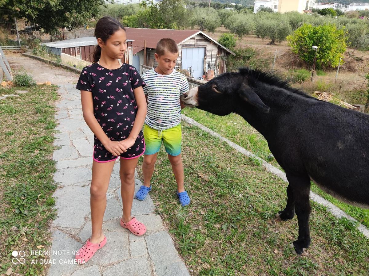 La Gallina Nel Castello Citr Oo9002-Beb Oo11 Αλμπένγκα Εξωτερικό φωτογραφία